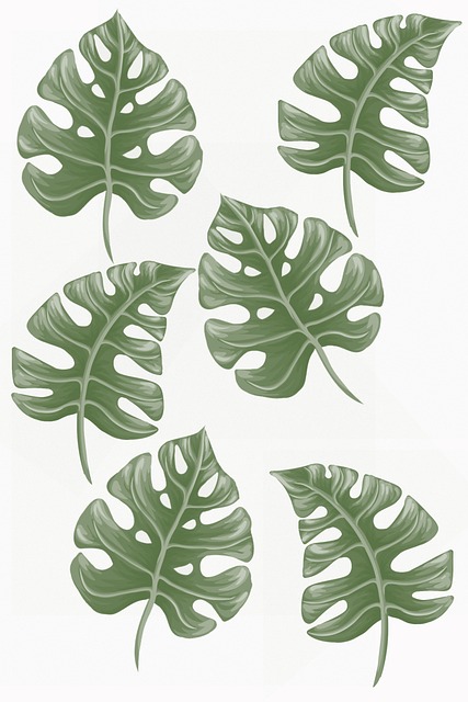 Boho Stil, Monstera Blade, Boheme-Stil