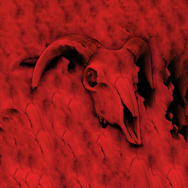 Free skull red cattle illustration