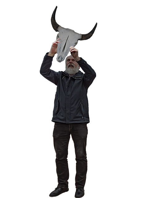 Free man cattle skull transparent illustration
