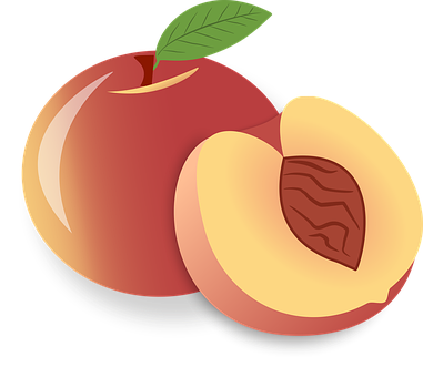 Free Peach Fruit illustration and picture