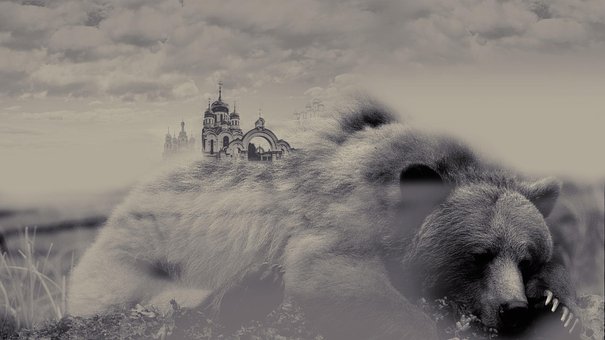 Tier, Bären, Die Natur, Nebel, Tempel