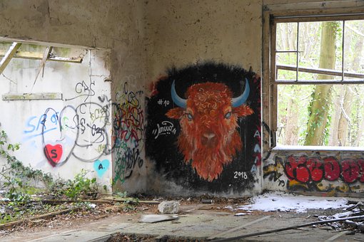 Graffiti, Street Art, Muur, Stier, Bizon