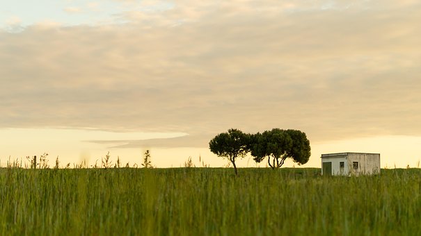 Free Countryside Outdoors photo and picture