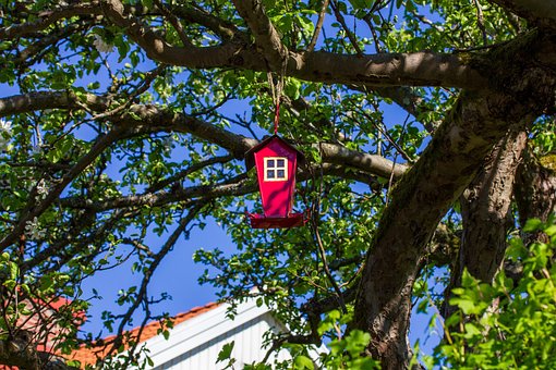 Træ, Hus, Villa, Reden, Fuglehus, Have