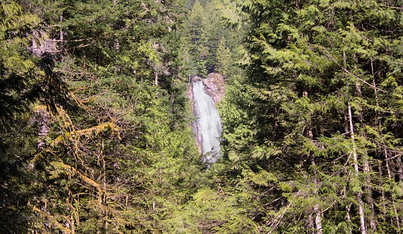 Cachoeira, Floresta, Arvores, Natureza