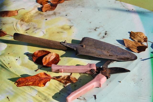 Free Garden Tools Scissors photo and picture