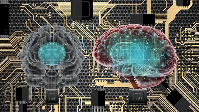 Download Brain, Technology, Data. Royalty-Free Stock Illustration Image ...