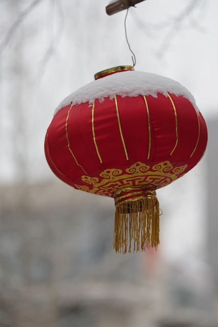 Free Chinese Lantern Snow photo and picture