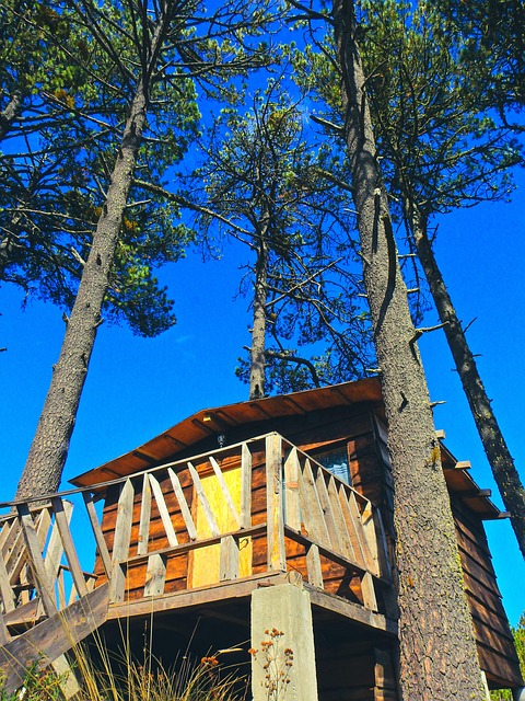 Free Cabin Blue photo and picture
