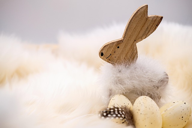 Free Easter Easter Bunny photo and picture
