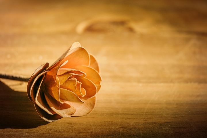 300+ kostenlose Blumen Der Trauer und Trauer-Bilder - Pixabay