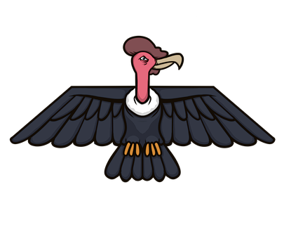 Cóndor, Pájaro, Simbolismo, Animal