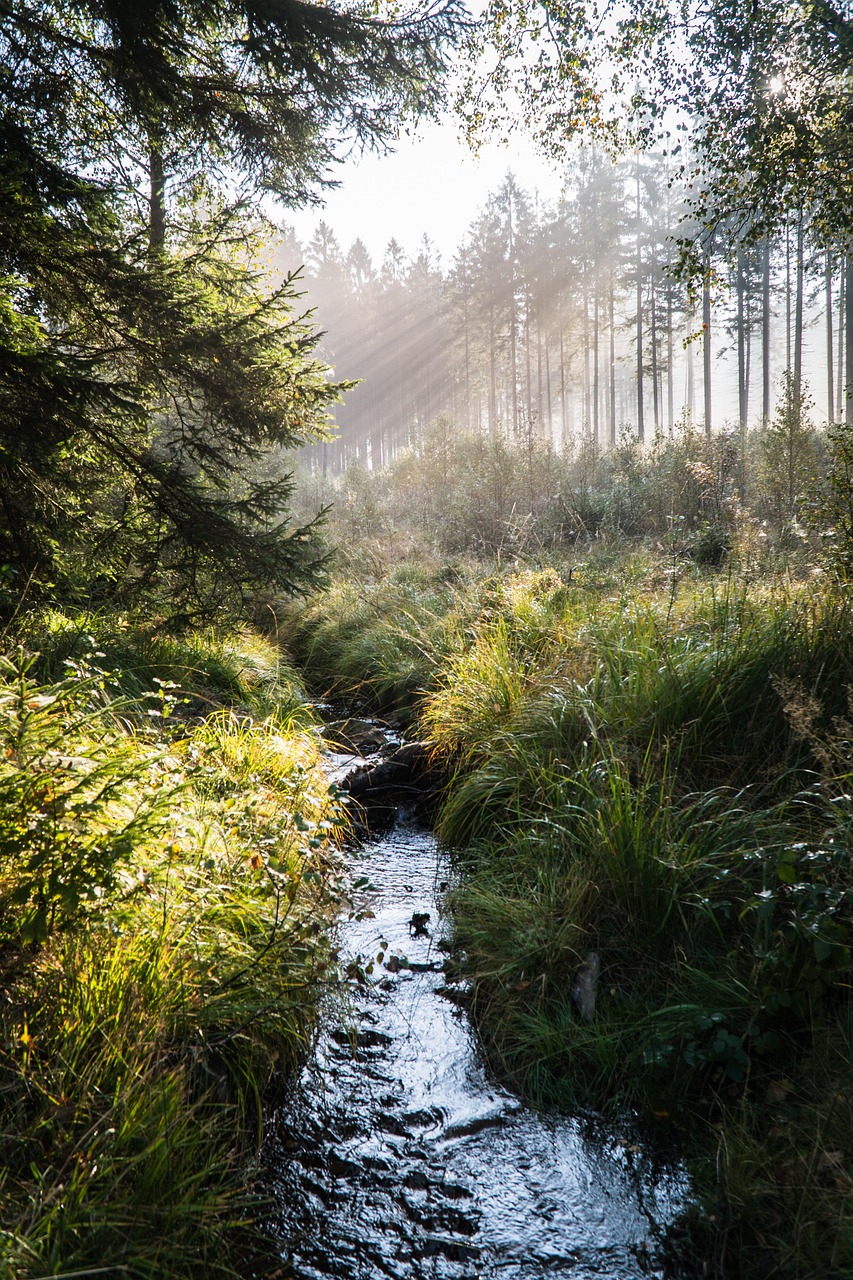 Fluss Natur Landschaft - Kostenloses Foto auf Pixabay - Pixabay
