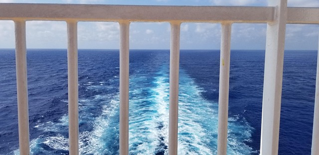 Free Cruise Ocean photo and picture