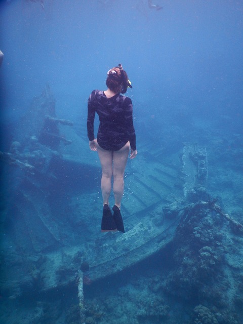 Free Underwater Ocean photo and picture
