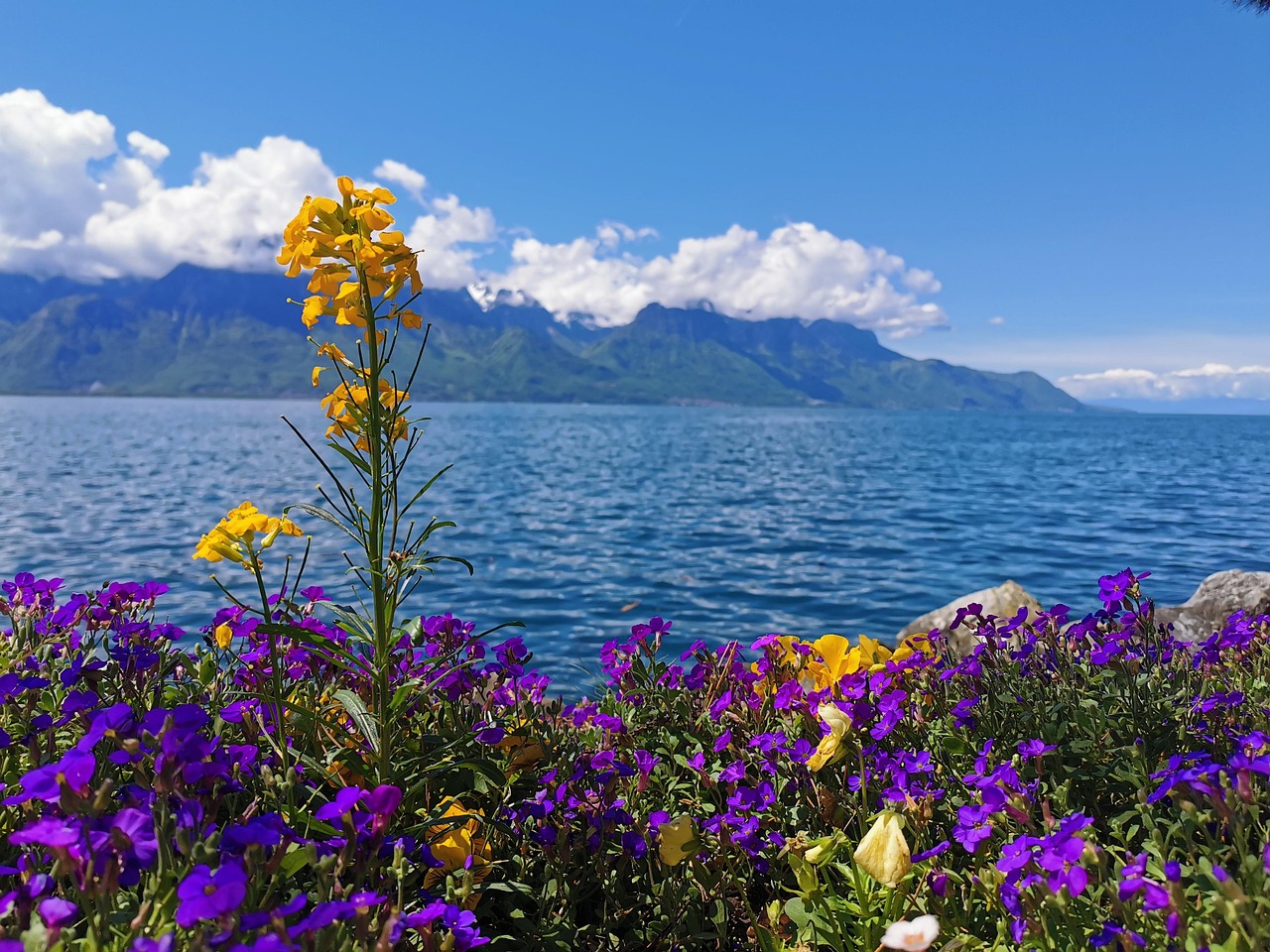 lake-switzerland-meadow-free-photo-on-pixabay-pixabay