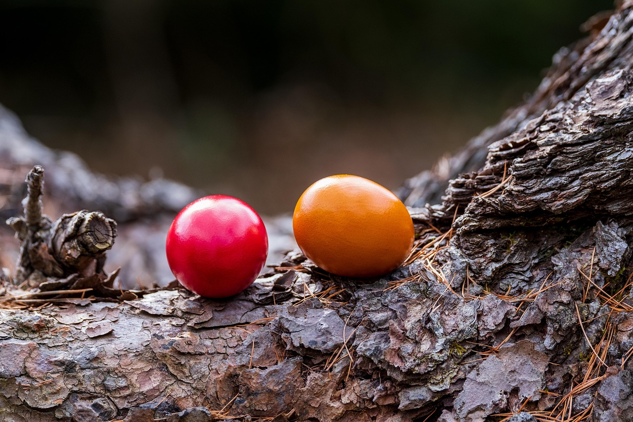 Download free HD stock image of Eggs Easter Eggs Free Eggs Easter Eggs photo and picture