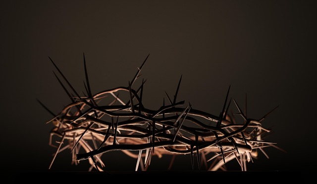 Free Crown Of Thorns Easter photo and picture