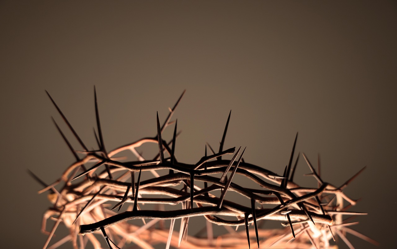 Crown Of Thorns Easter Good - Free photo on Pixabay - Pixabay