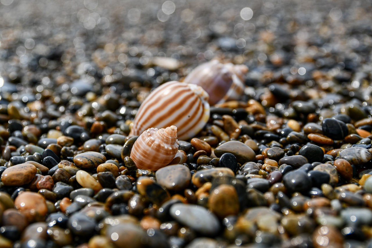 https://cdn.pixabay.com/photo/2022/04/11/22/53/sea-7126816_1280.jpg