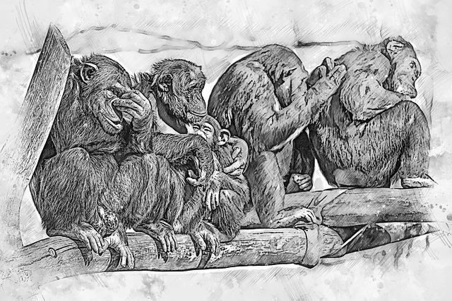 Free animal ape nature illustration