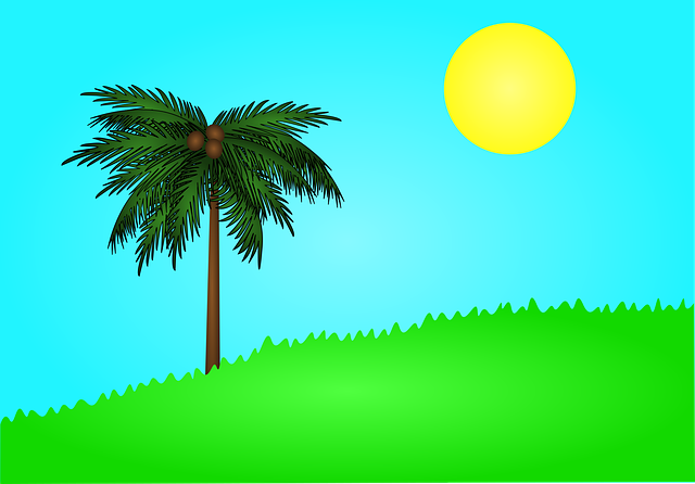 Free nature holiday palm tree vector