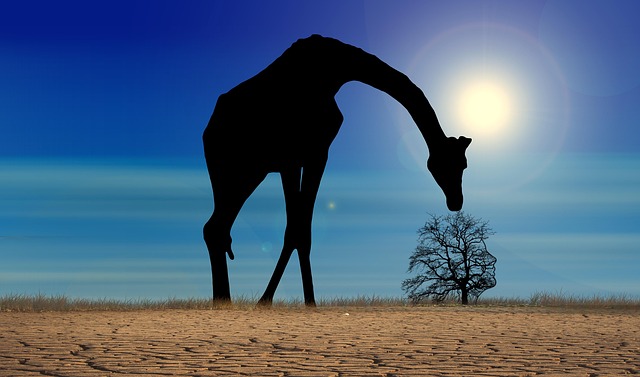 Free pxclimateaction climate change giraffe illustration