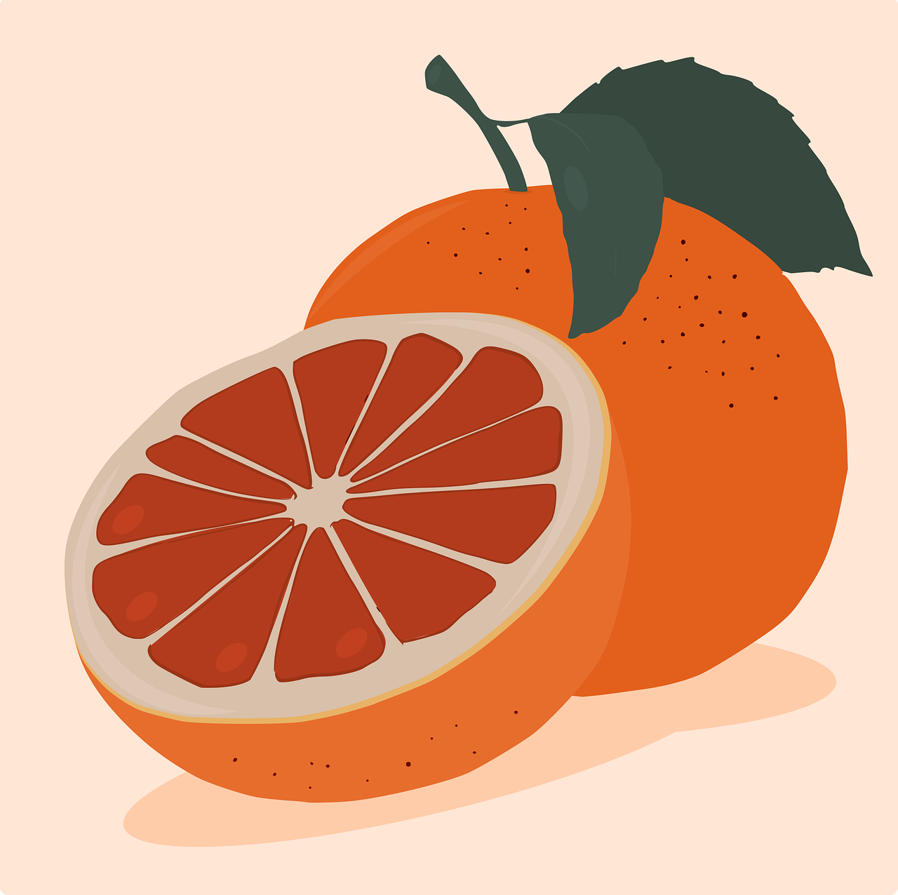 Download Fruit, Grapefruit, Citrus. RoyaltyFree Vector Graphic Pixabay