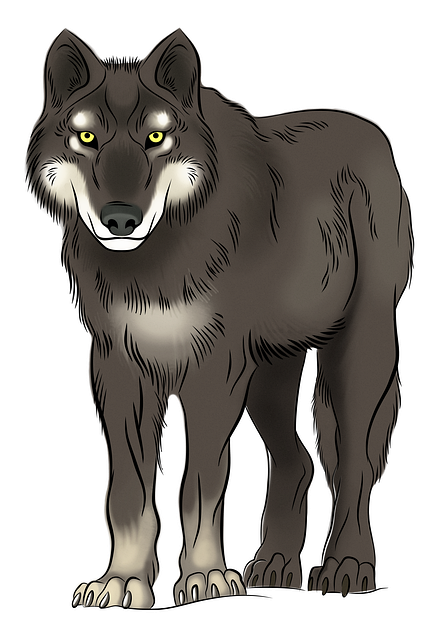 Free wolf animal canine illustration