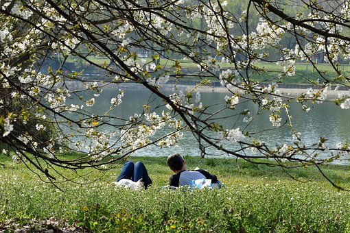 Free Spring Calm photo and picture