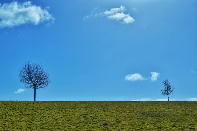 Câmp, Plete, Peisaj, Cer, Natura, Pace