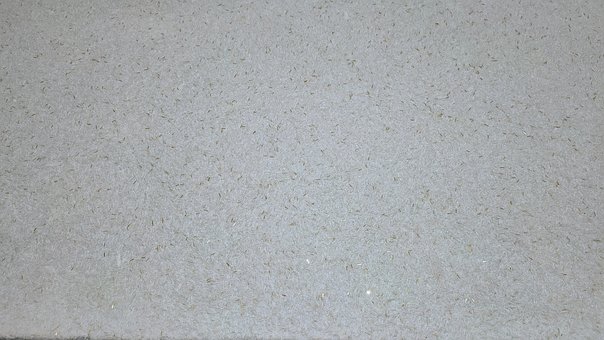 Free Texture Background photo and picture