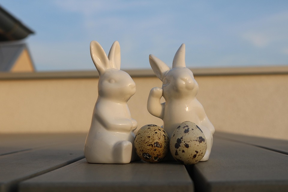 Where Did The Easter Rabbit Come From