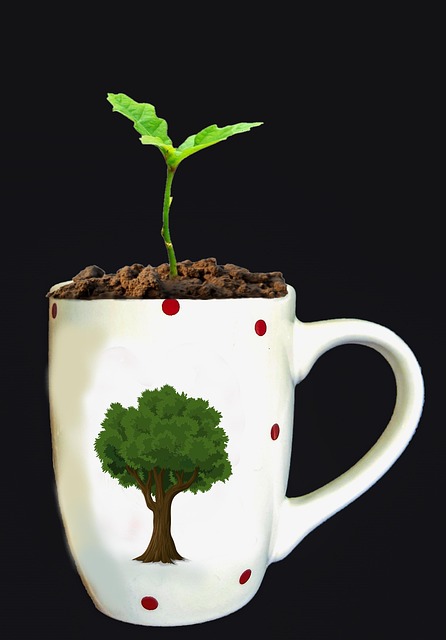 Free pxclimateaction seedlings scion illustration