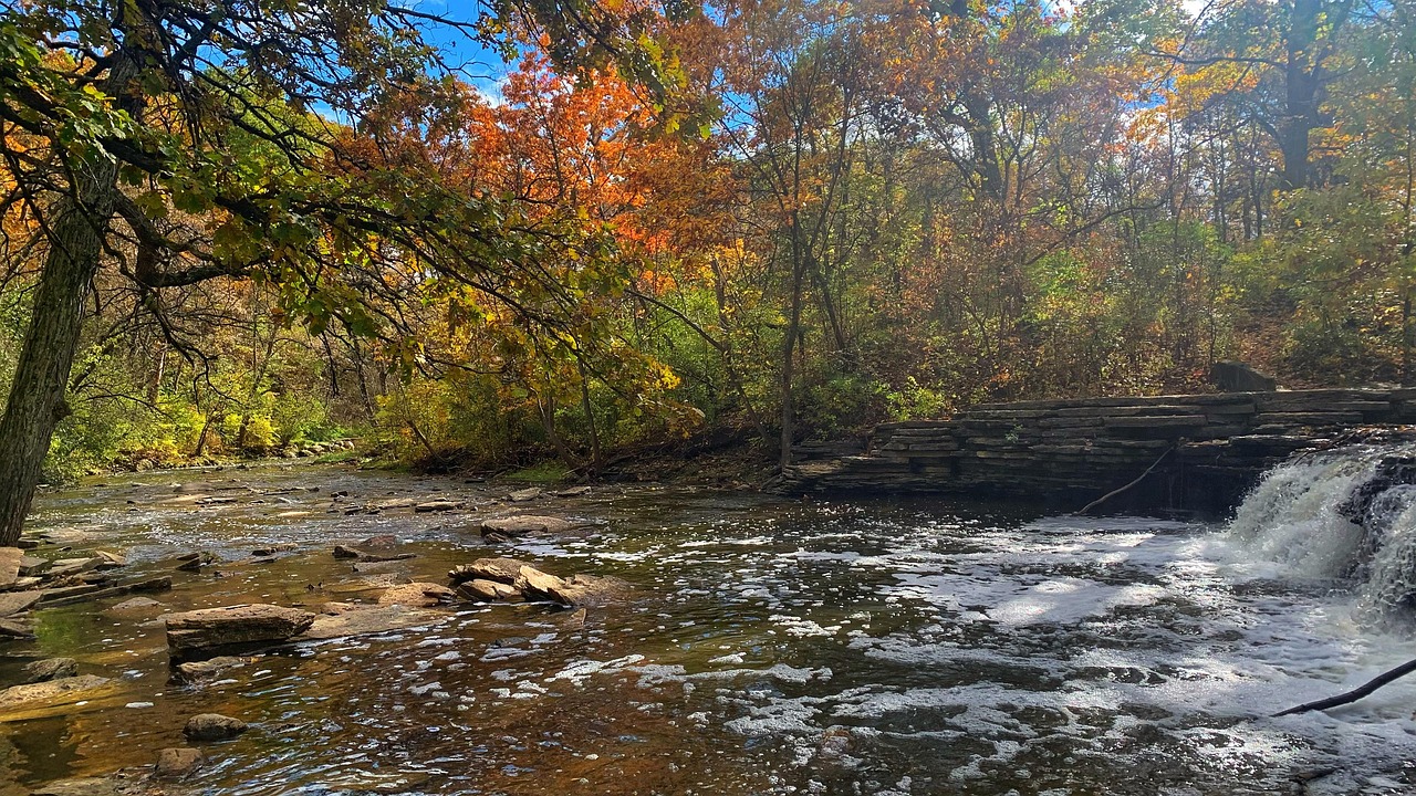 Waterfall Glen Free photo on Pixabay Pixabay