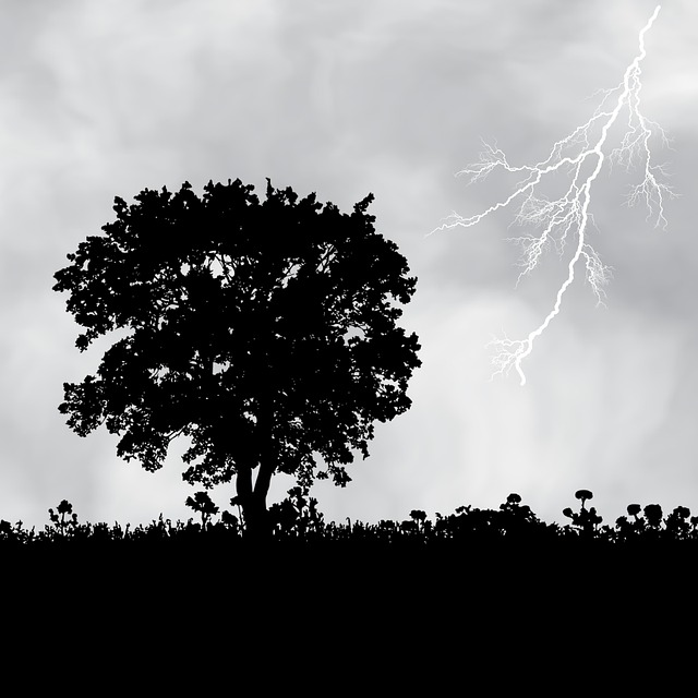 Free thunder lightning nature illustration