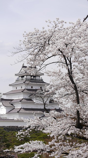 Free Castle Fukushima photo and picture