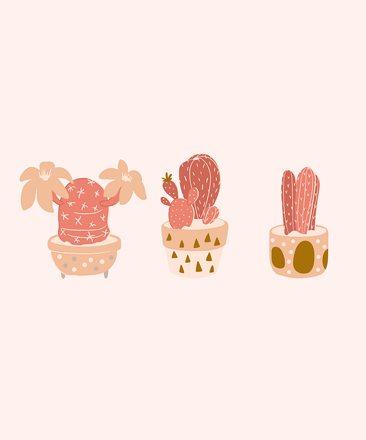 Free plants cactus succulent illustration