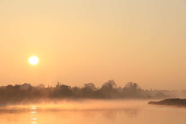 Landschaft, Die Natur, Nebel, Draußen