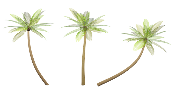 Palmeras, Cocoteros, Árboles, Clipart