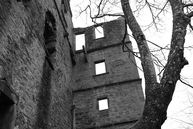 Free Castle Black-And-White photo and picture
