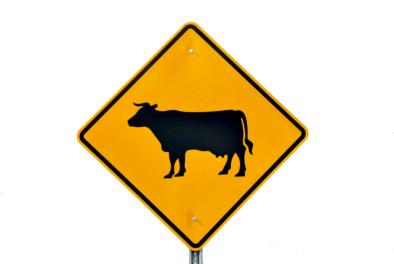 Cattle Crossing - free online jigsaw puzzle photo