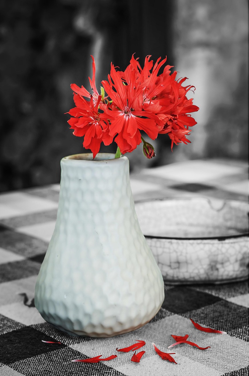 Flowers Red Flower Vase Free photo on Pixabay Pixabay