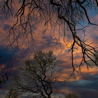 Free Spooky Folk Horror photo and picture