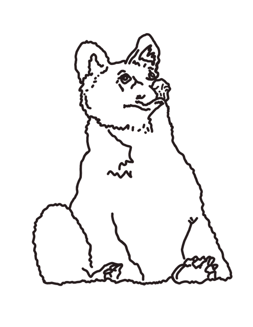 Free Bear Sketch illustration and picture