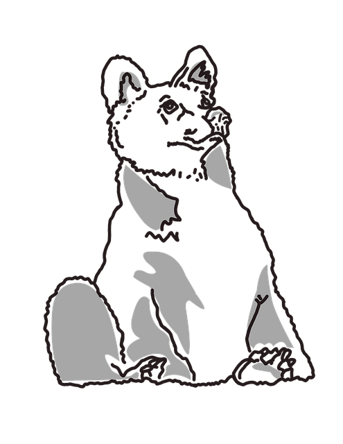 Free Bear Sketch illustration and picture