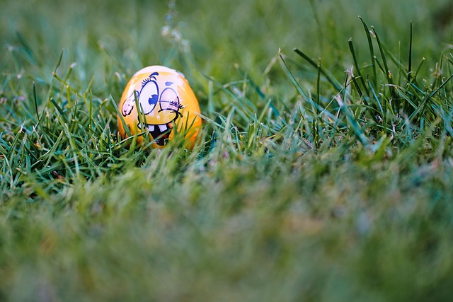 easter, easter egg, face, hard-boiled egg, egg hunt, nature, grass