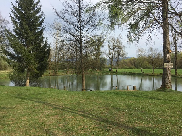 Free Fishing Nature photo and picture