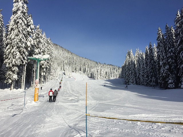 Free Snow Ski photo and picture