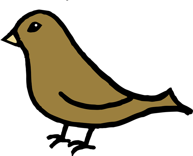 Free Bird Ornithology illustration and picture